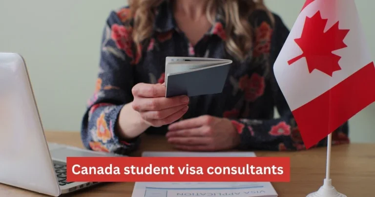 student visa consultants